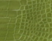 apple green