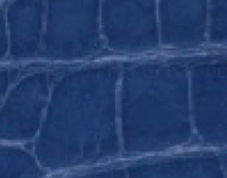 electric blue
