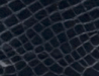 indigo blue