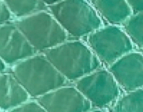 seafoam green