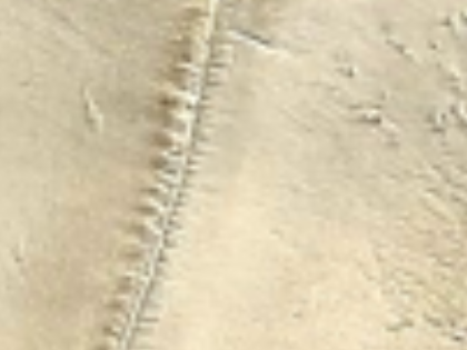 dune