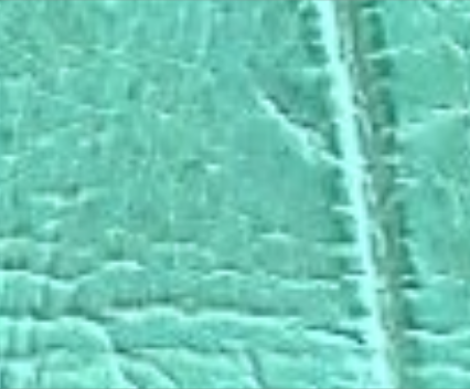 tiffany blue