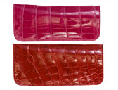 GLASSES CASE
