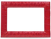 PICTURE FRAME